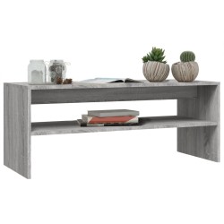    Tavolino da Salotto Grigio Sonoma 100x40x40cm Legno ingegnerizzato