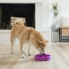 Outward Hound Mini Alimentatore Lento per Cani Slo Bowl Viola