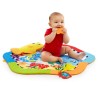 Baby Einstein Palestrina da gioco Rhytm of the Reef