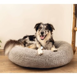 Beeztees Cuccia per Cani in Schiuma Viscoelastica Jaxx 60x25cm Grigio