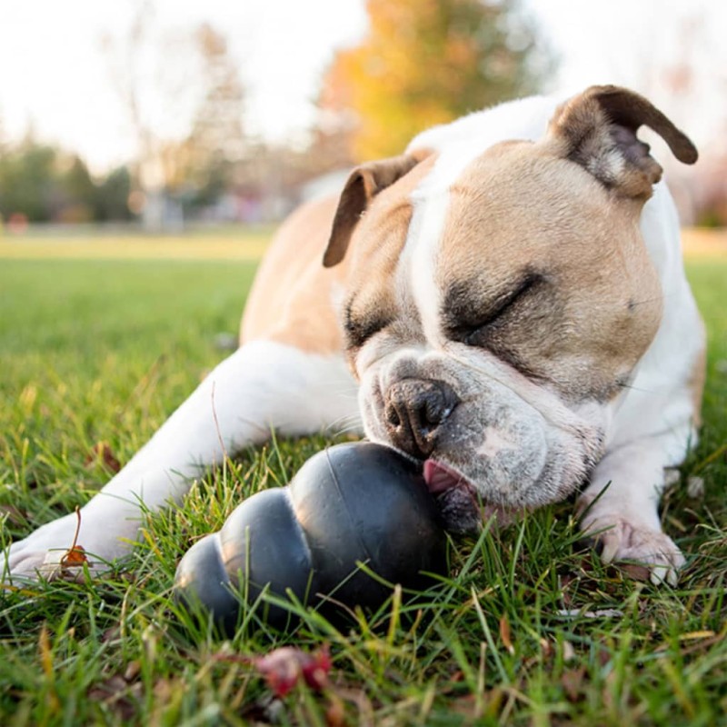 Kong Giocattolo per Cani Extreme Nero XL