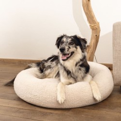 Beeztees Cuccia per Cani in Schiuma Viscoelastica Jaxx 60x25cm Beige