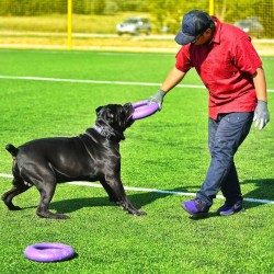 Ferplast Anello per Cani Puller Maxi Viola