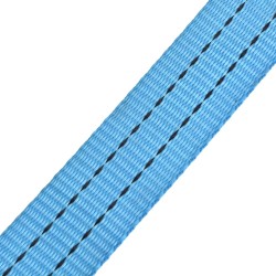 vidaXL Cinghie d'Ancoraggio 10 pz a Cricchetto 2 T 6mx38mm Blu