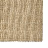 vidaXL Tappeto in Sisal per Tiragraffi 66x150 cm