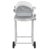 vidaXL Barbecue a Gas con Griglia 2 Fornelli Argento Acciaio Inox