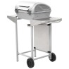 vidaXL Barbecue a Gas con Griglia 2 Fornelli Argento Acciaio Inox