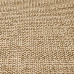 vidaXL Tappeto in Sisal per Tiragraffi 80x200 cm