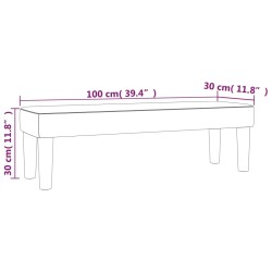 vidaXL Panca Grigio Chiaro 100x30x30 cm in Velluto