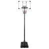 Supporto per Pallacanestro Trasparente 280-350 cm Policarbonato