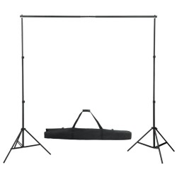 vidaXL Kit per Studio Fotografico con Set di Luci e Fondale