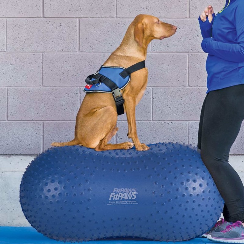 FitPAWS Piattaforma di Equillibrio per Animali Trax Peanut 60 cm Blu