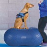 FitPAWS Piattaforma di Equillibrio per Animali Trax Peanut 60 cm Blu