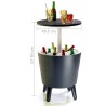 Keter Bar Refrigerante Antracite 192710 