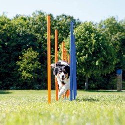 TRIXIE Pali per Agility Slalom 12 Pz 115 cm in Plastica 3206