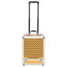   Valigia Trolley per Cosmetici 35x29x45 cm Oro in Alluminio