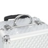 Valigia Trolley per Cosmetici 35x29x45 cm in Alluminio Argento