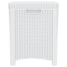   Baule da Giardino 39x39x46 cm in Rattan PP Bianco