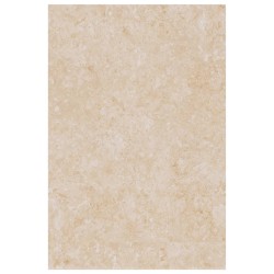 Piano da Cucina Beige con Motivo Marmo 40x60x2,8 cm Truciolato