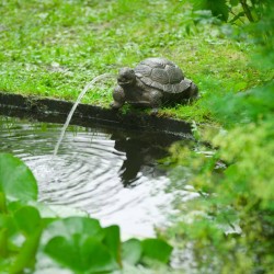 Ubbink Fontana da Giardino Spitter Tartaruga