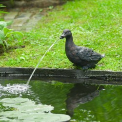 Ubbink Fontana da Giardino...