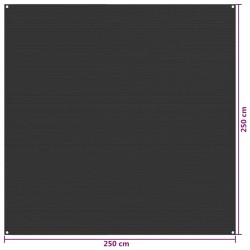 vidaXL Tappetino per Tenda 250x250 cm Antracite in HDPE