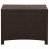 vidaXL Baule da Giardino 60x54x41 cm in Rattan PP Marrone