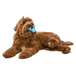 West Paw Giocattolo per Cani con Zogoflex Tux Blu Acqua L