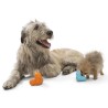 West Paw Giocattolo per Cani con Zogoflex Tux Arancione Mandarino L