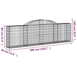 Cesti Gabbioni ad Arco 13 pz 300x30x80/100 cm Ferro Zincato