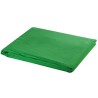 vidaXL Fondale in Cotone Verde 300x300 cm per Croma Key