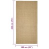 vidaXL Tappeto in Sisal per Tiragraffi 100x200 cm