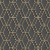 DUTCH WALLCOVERINGS Carta da Parati Design Esagonale Nero e Oro