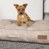 Scruffs & Tramps Materasso per Cani Kensington M 80x60 cm Crema