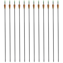   Frecce Standard per Archi Ricurvi 12 pz 76,2/0,6 cm Fibra Vetro