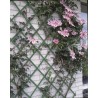 Nature Pergolato da Giardino 100x200 cm PVC Verde 6040704