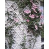 Nature Pergolato da Giardino 100x200 cm PVC Bianco 6040703