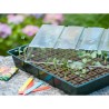 Nature Kit Mini Propagatore 7x11 Celle