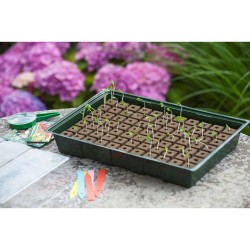 Nature Kit Mini Propagatore 7x11 Celle