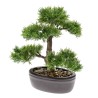 Emerald Bonsai Cedro Artificiale 32 cm 420001 Verde