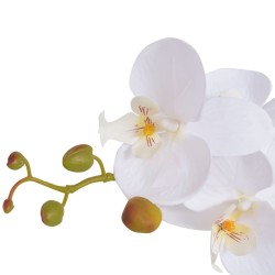   Orchidea Artificiale con Vaso 65 cm Bianca