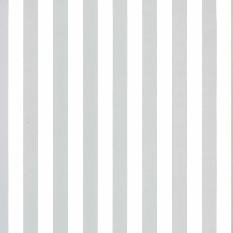 Fabulous World Carta da Parati Stripes Bianca e Grigio Chiaro 67103-3