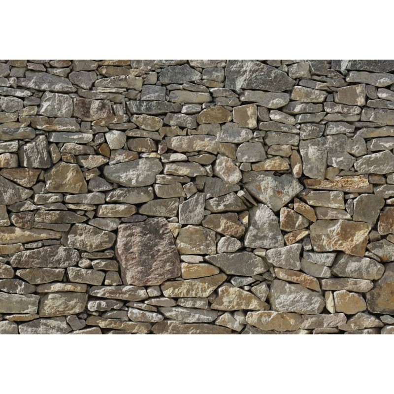 Komar Fotomurale Stone Wall 368x254 cm 8-727