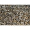 Komar Fotomurale Stone Wall 368x254 cm 8-727