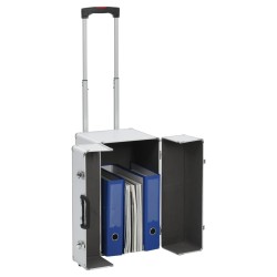 vidaXL Valigia Trolley Pilota 47x39x27 cm in Alluminio Argento 