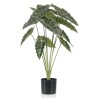 Emerald Alocasia Artificiale in Vaso 80 cm