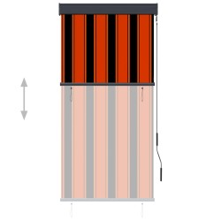 vidaXL Tenda a Rullo per Esterni 80x250 cm Bianca e Marrone