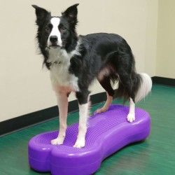 FitPAWS Piattaforma Equilibrio per Animali Giant K9FITbone PVC Viola