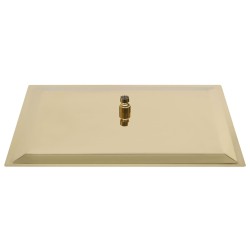 vidaXL Testa Doccia a Pioggia Acciaio Inox 50x30 cm Rettangolare Oro