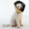 All Four Paws Collare Medico per Cani Comfy Cone Taglia M 20 cm Tanno